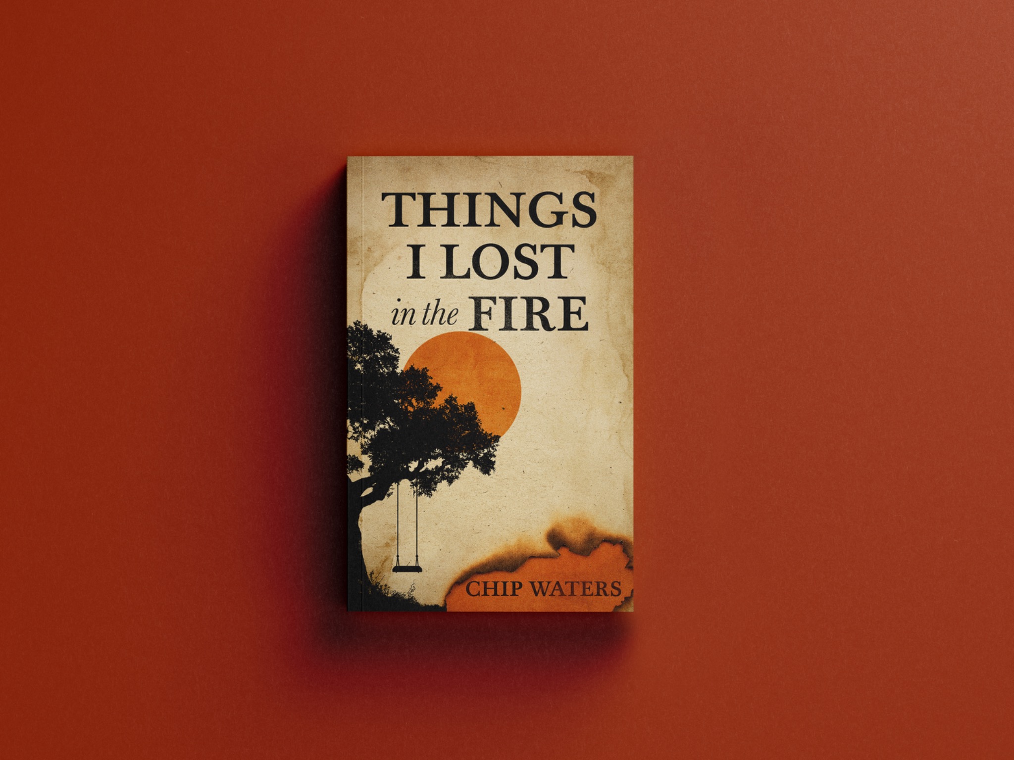 Things I Lost in the Fire by Chip Waters